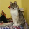 Отзыв от Софья Дементьева